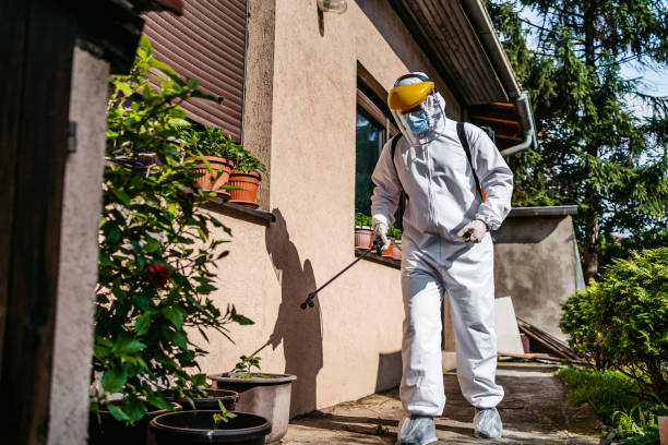 Wasp Removal Services in Slater Marietta, SC