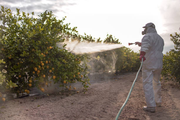 Pest Control Cost in Slater Marietta, SC