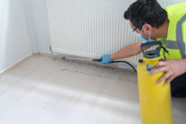 Best Mosquito Control Services  in Slater Marietta, SC