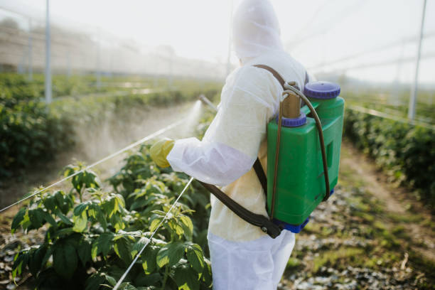 Pest Prevention Services in Slater Marietta, SC